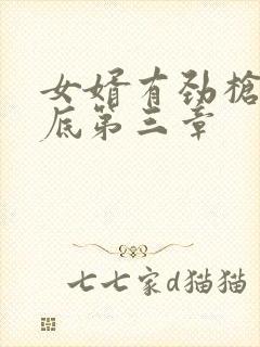 女婿有劲枪枪到底第三章