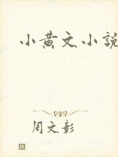 小黄文小说