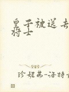 皇子被送去犒劳将士