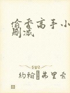 偷香高手小说无删减