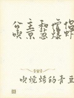 公主和僧侣 爱吃京葱爆虾的当归封面