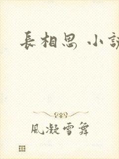 长相思 小说封面