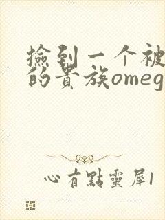 捡到一个被抹布的贵族omega