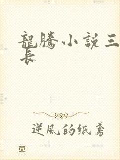 龙腾小说三宝局长