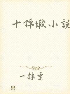十锦缎小说封面