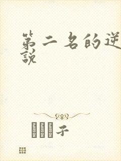 第二名的逆袭小说封面