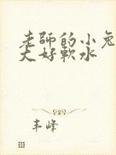 老师的小兔子好大好软水