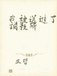 我被送进了私奴调教所