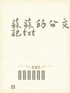 苏苏的公交车日记txt封面