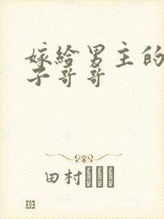 嫁给男主的病秧子哥哥封面