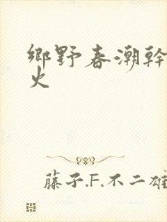 乡野春潮干柴烈火封面