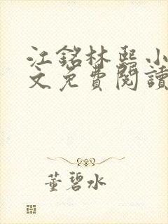 江铭林熙小说全文免费阅读封面