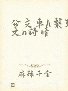 公交车h系列辣文n诗晴