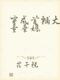 穿成首辅大人的童养媳