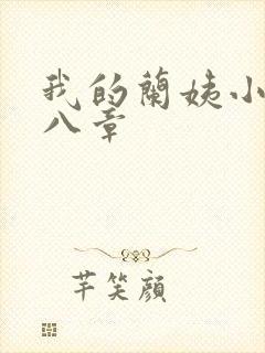 我的兰姨小说第八章封面