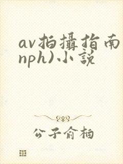 av拍摄指南(nph)小说封面