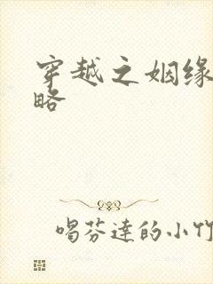 穿越之姻缘劫攻略封面