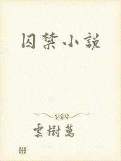 囚禁小说