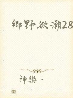 乡野欲潮28章
