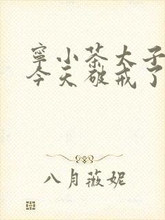 宁小茶太子殿下今天破戒了吗免费阅读