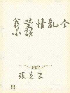 翁莹情乱全部篇小说封面