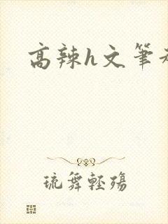 高辣h文笔趣阁
