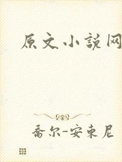 原文小说网
