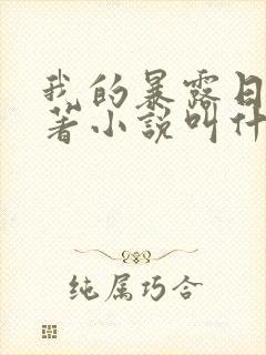 我的暴露日记原著小说叫什么