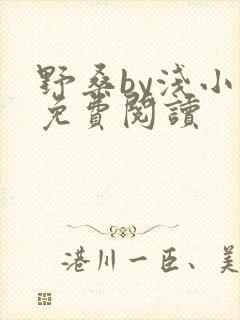 野桑by浅小说免费阅读