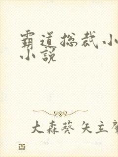 霸道总裁小娇妻小说