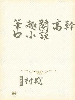 笔趣阁高干文入口小说