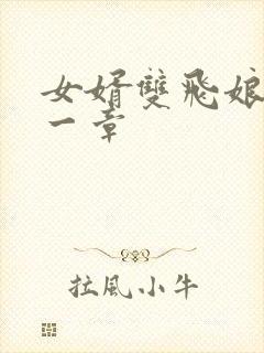 女婿双飞娘俩第一章