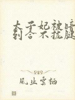 太子妃被暗卫C到合不拢腿