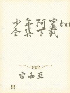 少年阿宾txt全集下载