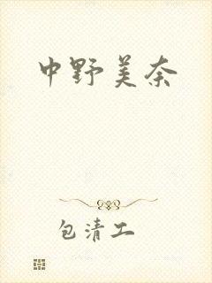 中野美奈封面