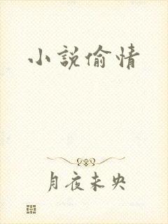 小说偷情