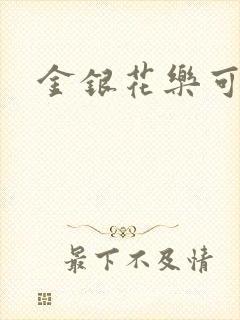 金银花乐可小说封面