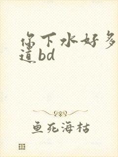 你下水好多下水道bd