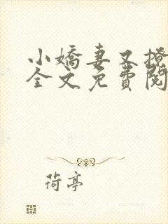 小娇妻又撩又甜全文免费阅读