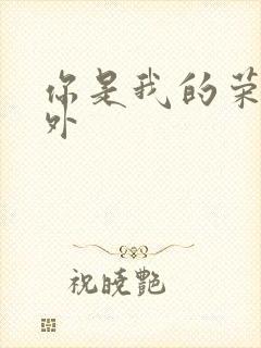 你是我的荣耀番外