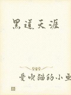 黑道天涯封面