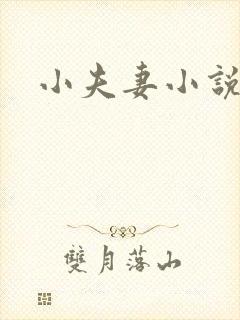 小夫妻小说