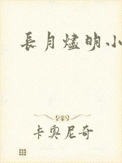 长月烬明小说封面