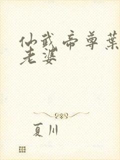 仙武帝尊叶辰的老婆