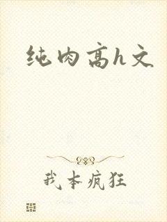 纯肉高h文
