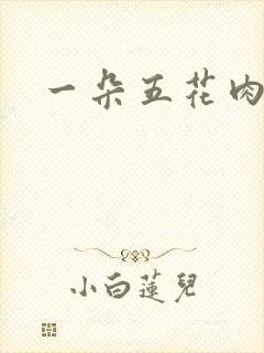 一朵五花肉封面