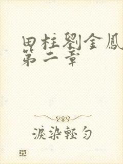 田柱刘金凤小说第二章封面