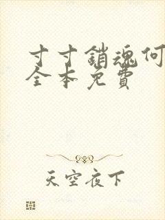 寸寸销魂何生祥全本免费