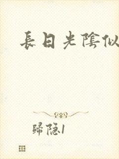 长日光阴似箭封面