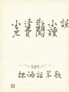小清欢小说全文免费阅读封面